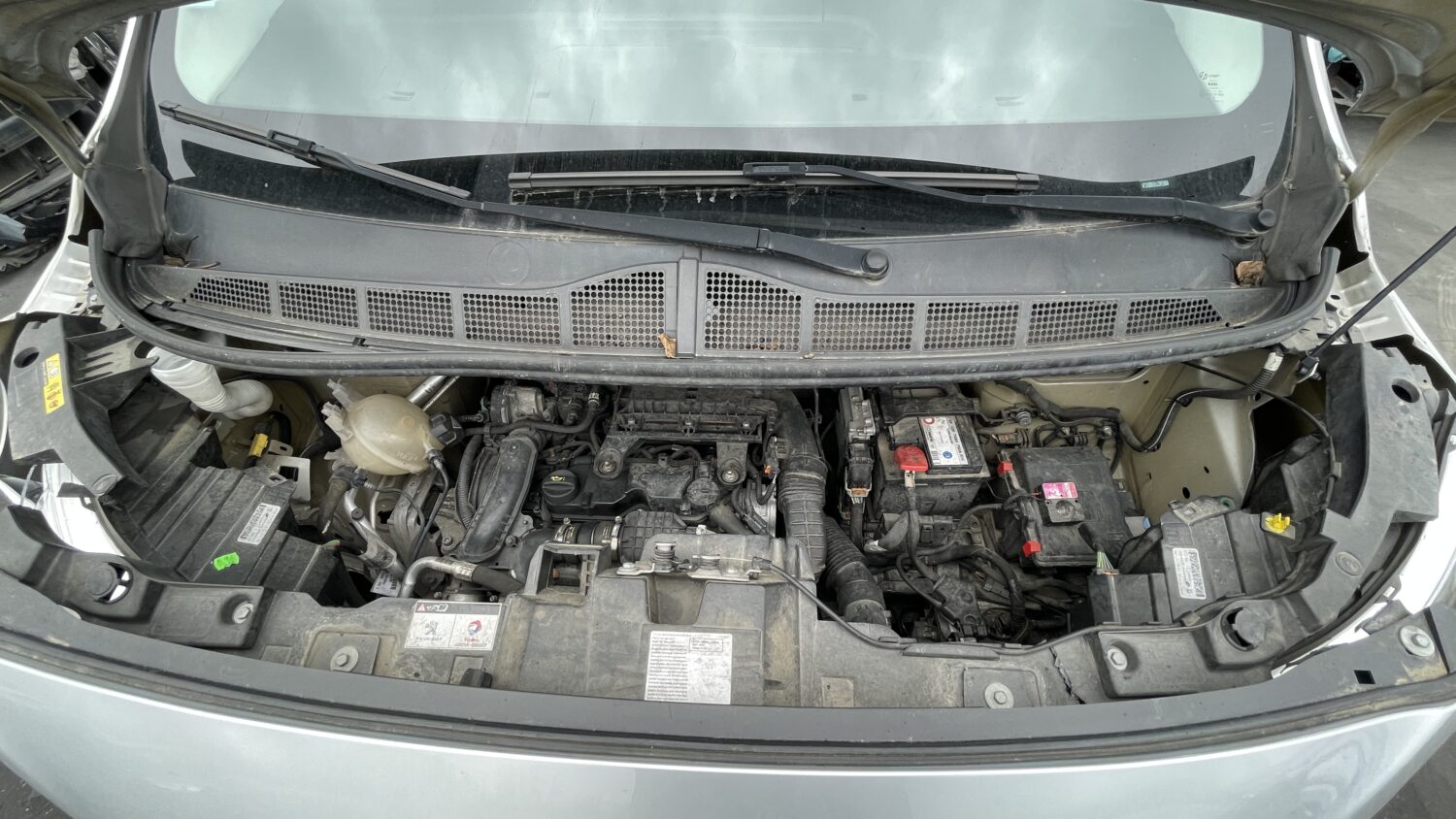 EXPERT 1.6 HDI 115