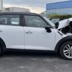 COUNTRYMAN 1.6D 110