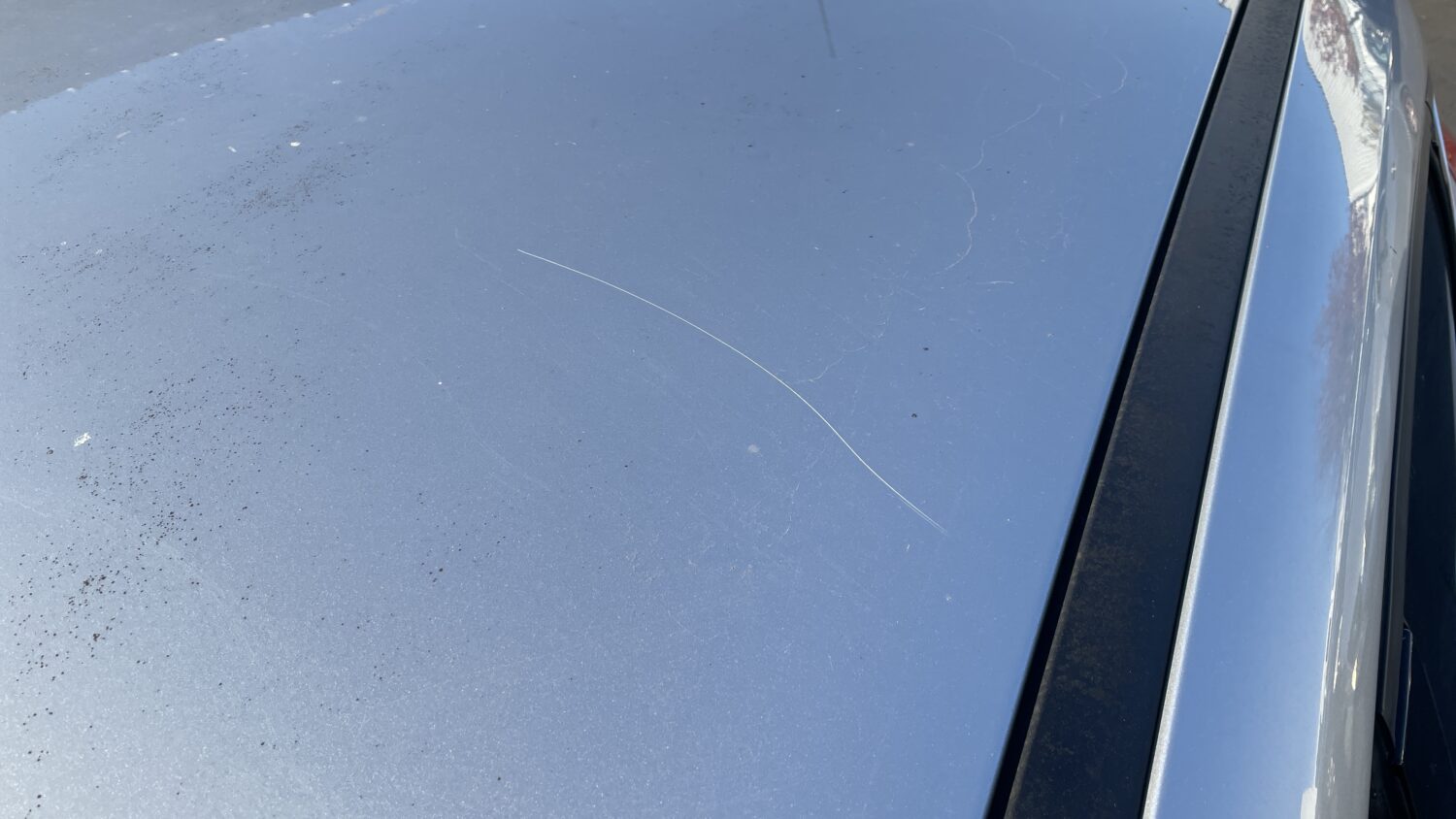 FOCUS 1.0 ECOBST 125