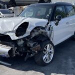 COUNTRYMAN 1.6D 110