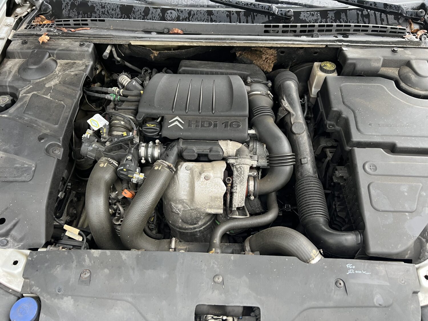C5 1.6 HDI 109.