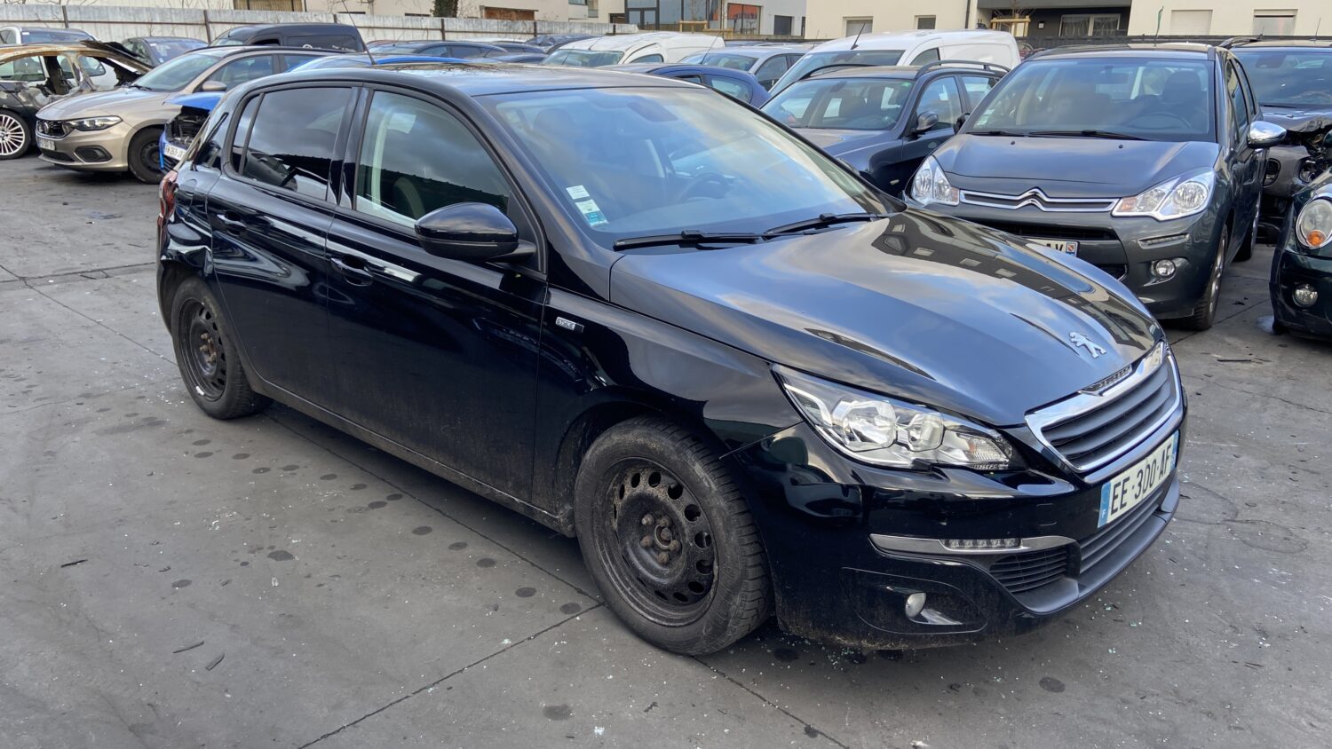 308 1.2 PTEC 110