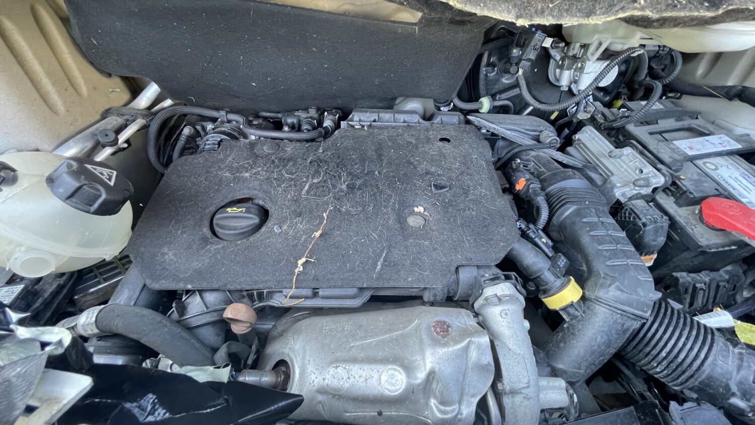 EXPERT 1.5 BHDI 120