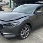 CX-30 2.0 SA-X 190