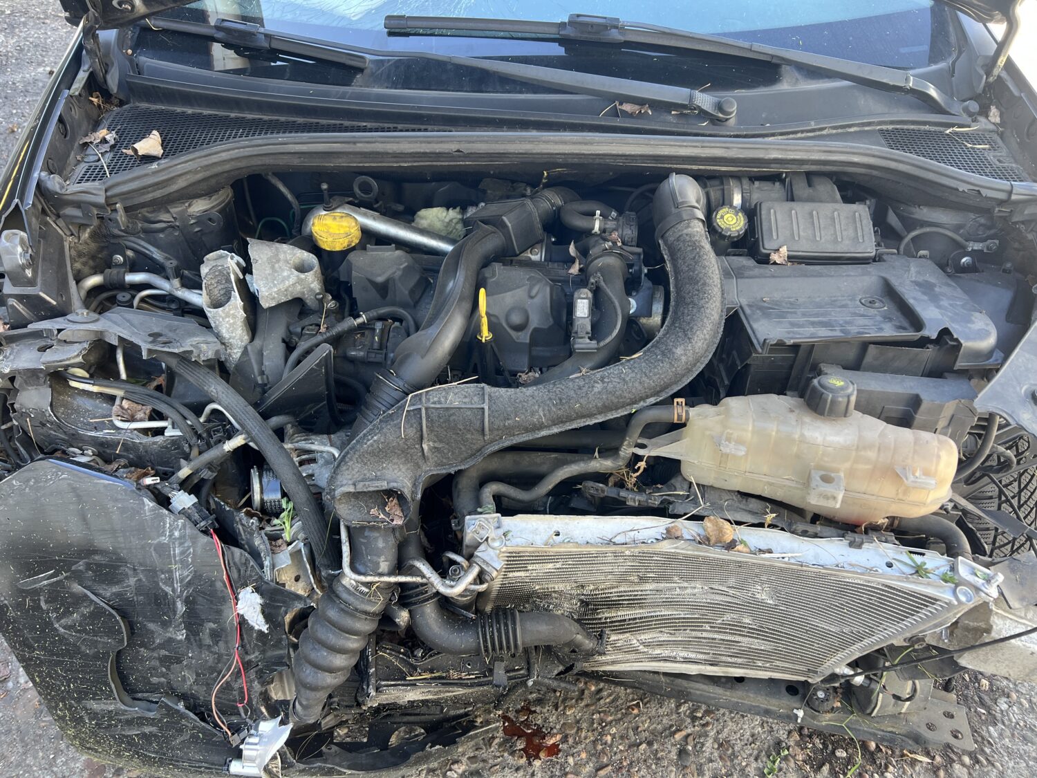 CLIO 3 1.5 CDI 70.