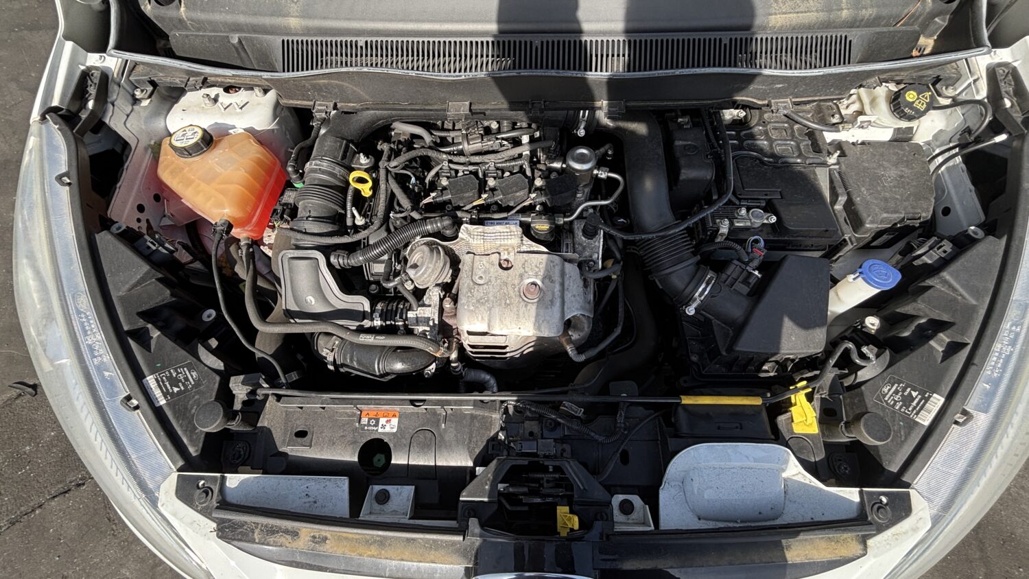 B-MAX 1.0 ECOBOOST 125