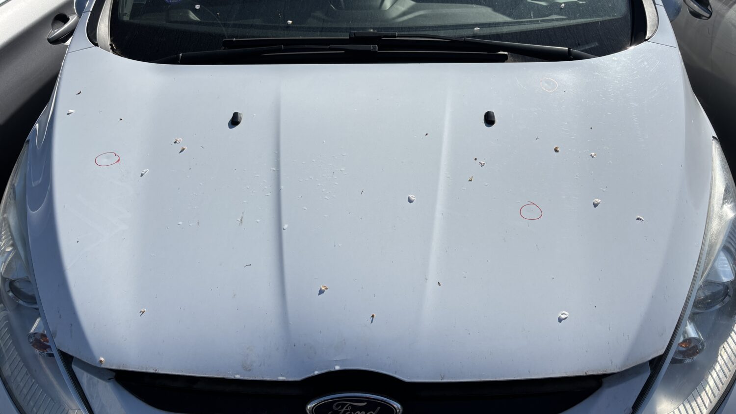 B-MAX 1.0 ECOBOOST 125