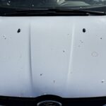 B-MAX 1.0 ECOBOOST 125