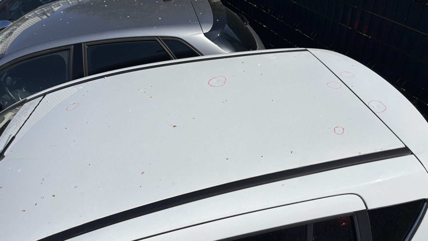 B-MAX 1.0 ECOBOOST 125