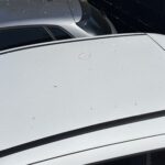 B-MAX 1.0 ECOBOOST 125