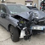 AUSTRAL 1.3 E-TECH 200