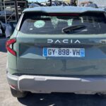 DUSTER 1.0 LPG 100