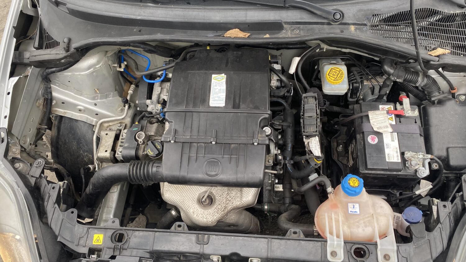 PUNTO 1.2 70