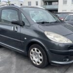1007 1.4 HDI 70