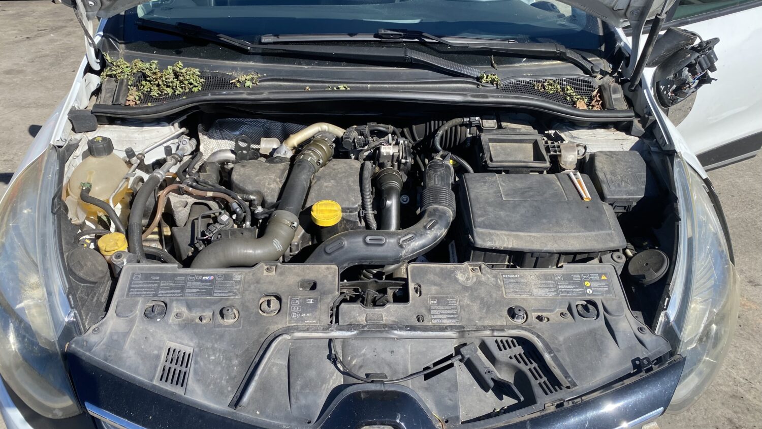 CLIO 1.5 DCI 90